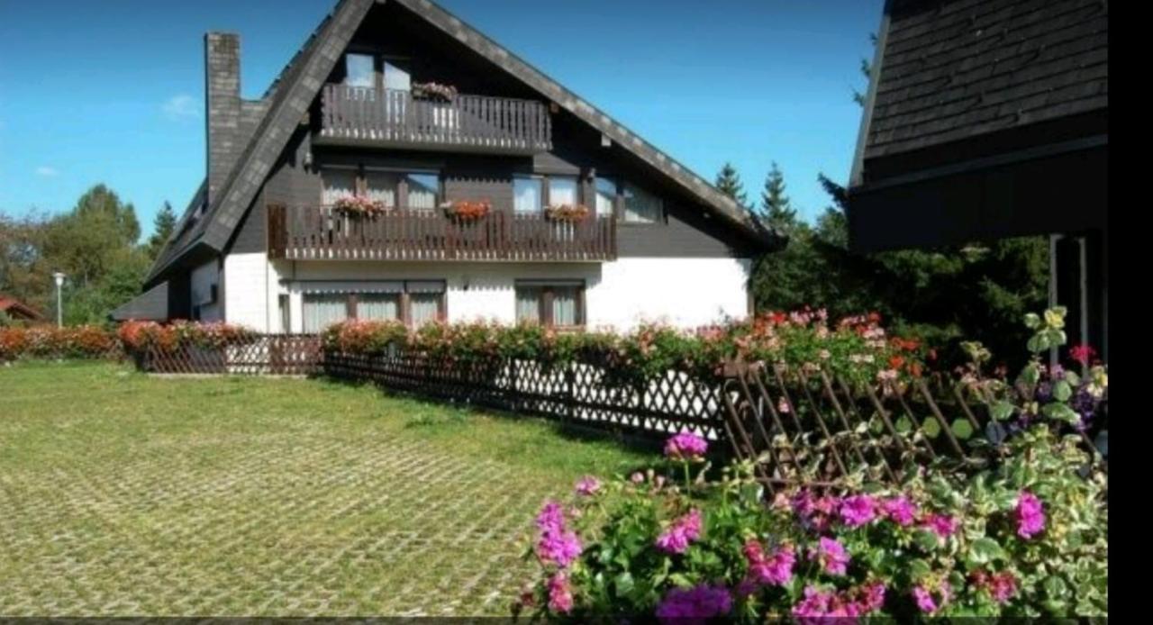 Ferienhaus-Schoenwald Im Herzen Des Schwarzwaldes 1Zimmer Wohnung Mit Terrasse App17 エクステリア 写真